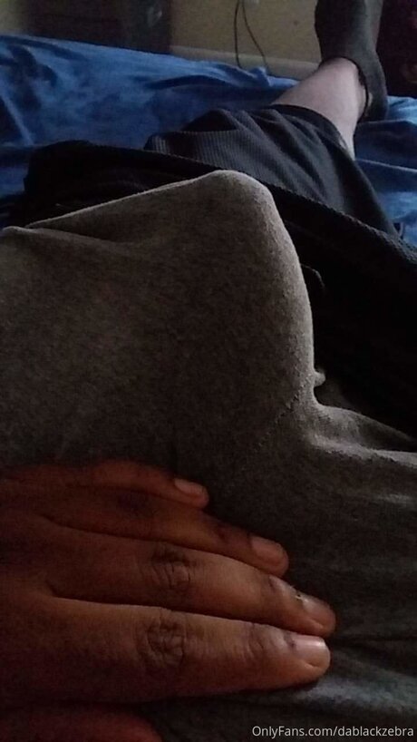 Dablackzebra OnlyFans Leaks