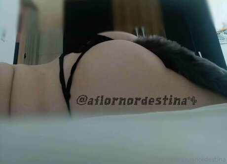 Tuanordestina Nacktporno OnlyFans