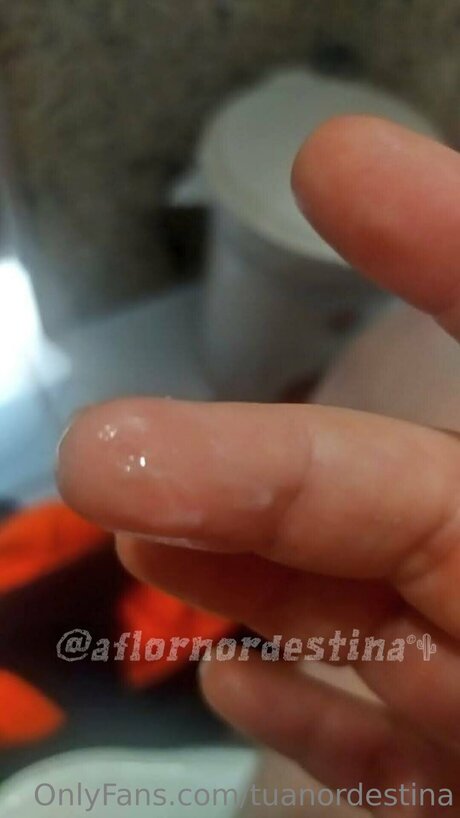 Tuanordestina Nacktbilder von OnlyFans