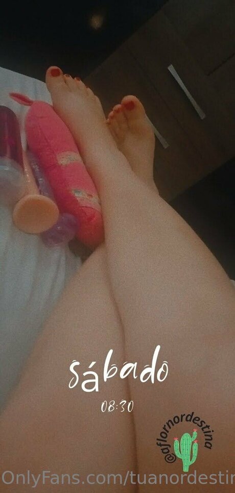 Tuanordestina OnlyFans Dirtyship geleakt