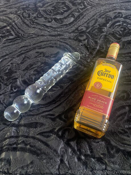 Validvixens Leaked OnlyFans