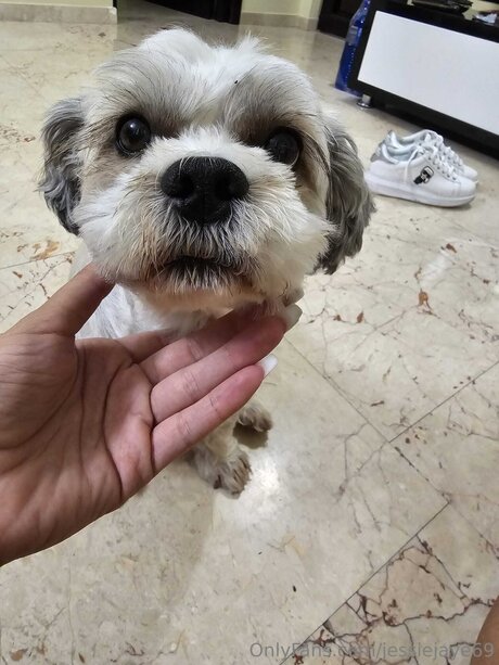 Jessiejaye69 Kostenlose OnlyFans-Pornos