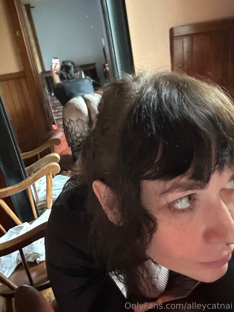 Alleycatnai Nacktporno OnlyFans