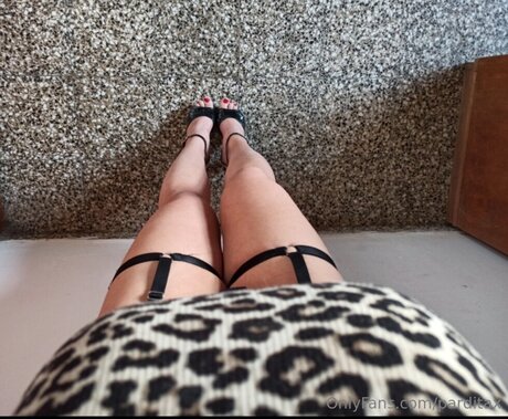 Parditax Nacktbilder OnlyFans