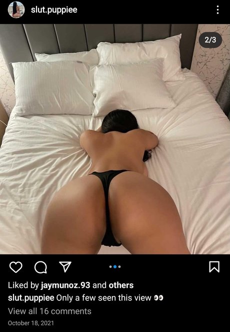 Slut Puppie OnlyFans Pornografie gratis