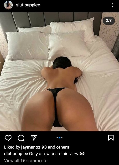 Slut Puppie OnlyFans X