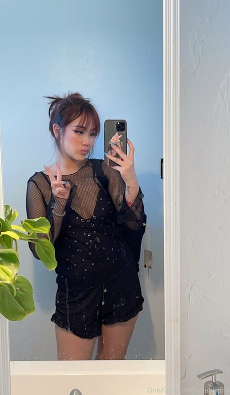 Soraphoria Profilbild