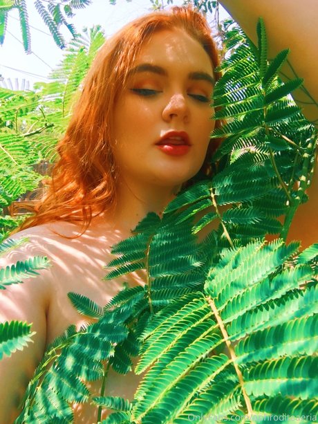 Allisonivyx OnlyFans-Bild