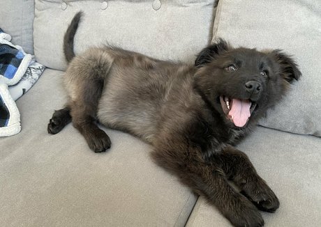 Summerreese OnlyFans Sex