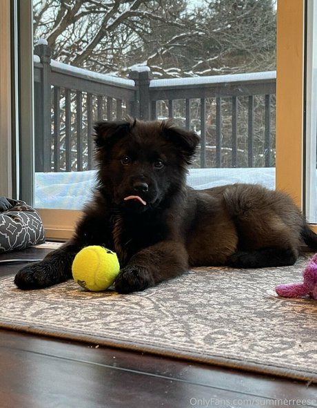 Summerreese OnlyFans