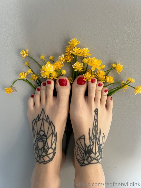 Redfeetwildink OnlyFans geleakter Pornografie