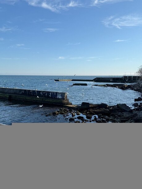 Olivi Star OnlyFans-Seite