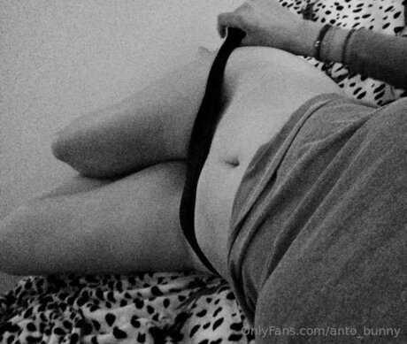 Anto Bunny OnlyFans-Seite