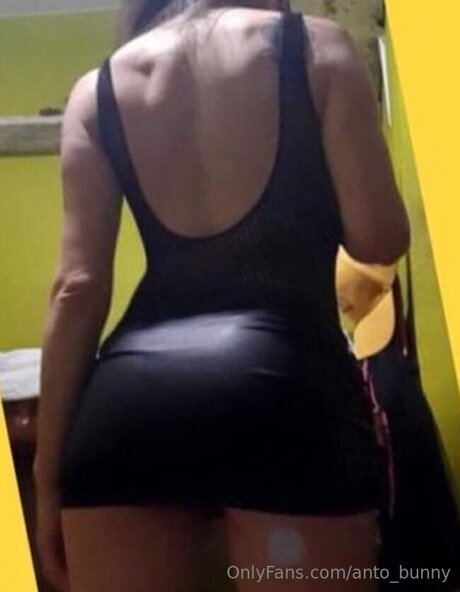 Anto Bunny OnlyFans Nacktbilder