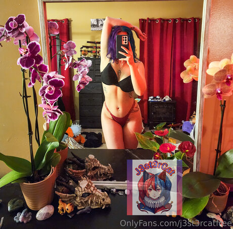 J3st3rcatfree OnlyFans Bilder