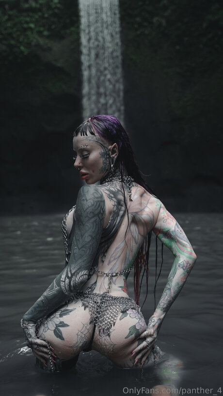 Panther 4 Po OnlyFans