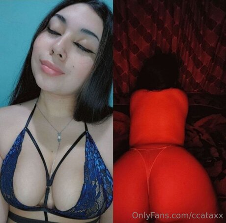 Ccataxx Heiße OnlyFans Inhalte