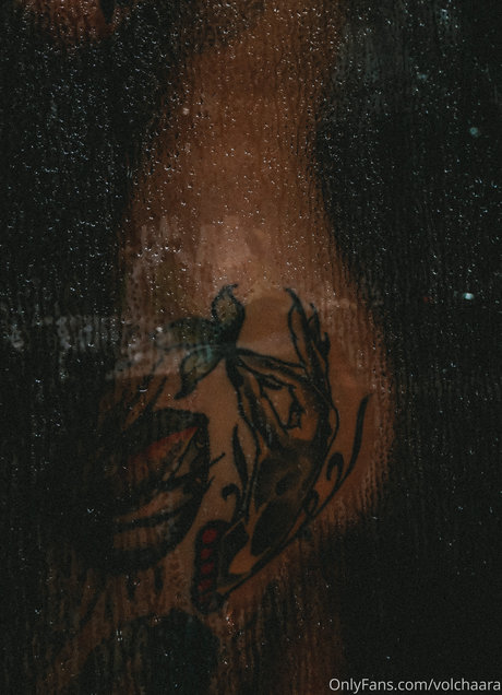 _volchara OnlyFans-Sex