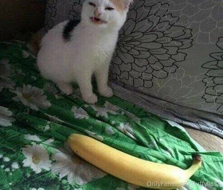 hosen nur fans Aktbilder 4K