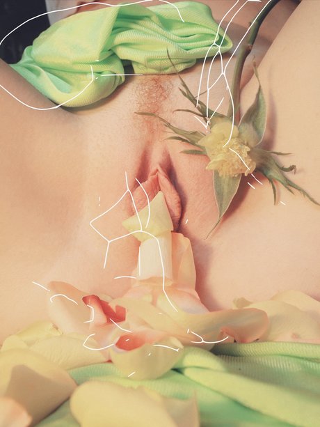 Valerie Zsvej OnlyFans geleakte Pornografie