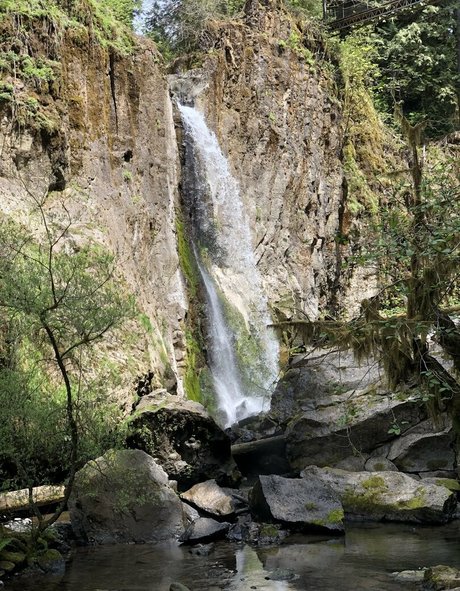 UnicornButtStuff OnlyFans