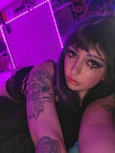 Kittens playpen_ Bilder OnlyFans