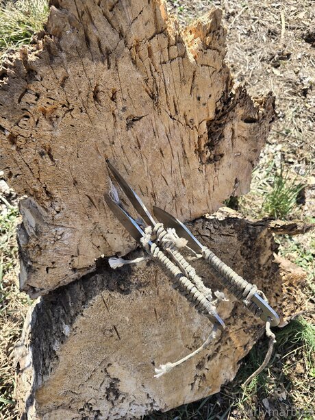 Gnarlymarbles Joi OnlyFans