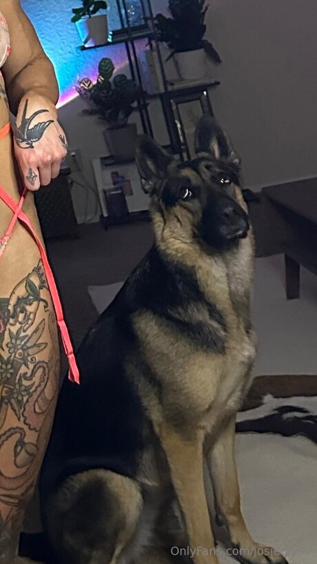 Josiecatxx NSFW OnlyFans