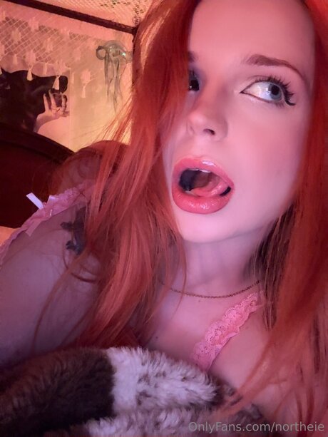 Northeie OnlyFans Porno