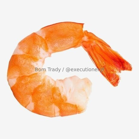 Executionergf OnlyFans NSFW