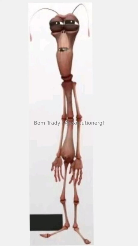 Executionergf Leaked OnlyFans Sex