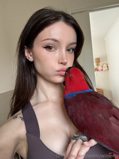 Daintywildertv OnlyFans Leaks Gratis