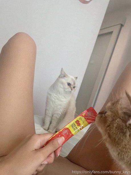 Bunny Keys_ OnlyFans Nackt