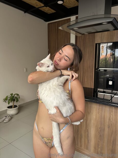 Pumpkinstarburst OnlyFans Striptease