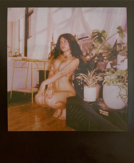 Spicymarii Lilfairymari Nacktbilder von OnlyFans