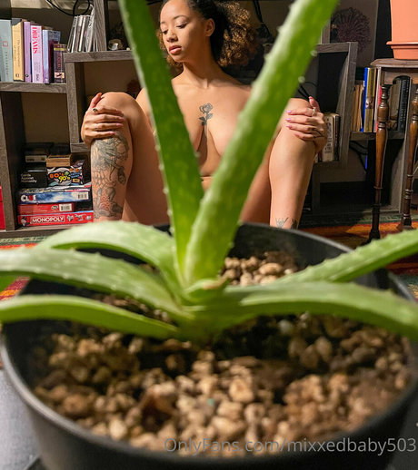 Mixxedbaby503 OnlyFans Porno