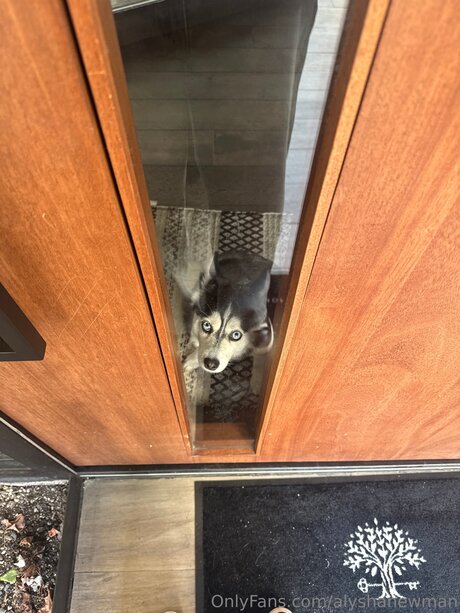 Alyshanewman OnlyFans-Creator