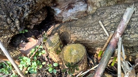 Alexbitchcraft4free OnlyFans Porno