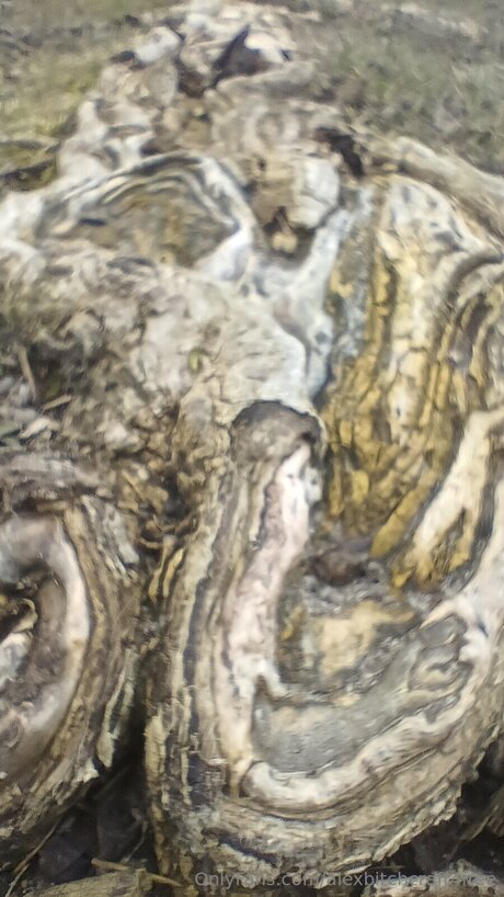 Alexbitchcraft4free OnlyFans