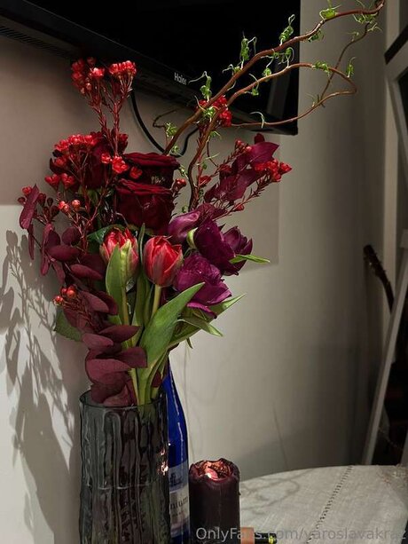 Yaroslavakraz Neuer OnlyFans Leak