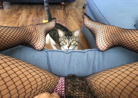 Babybushwhacker OnlyFans geleakt.