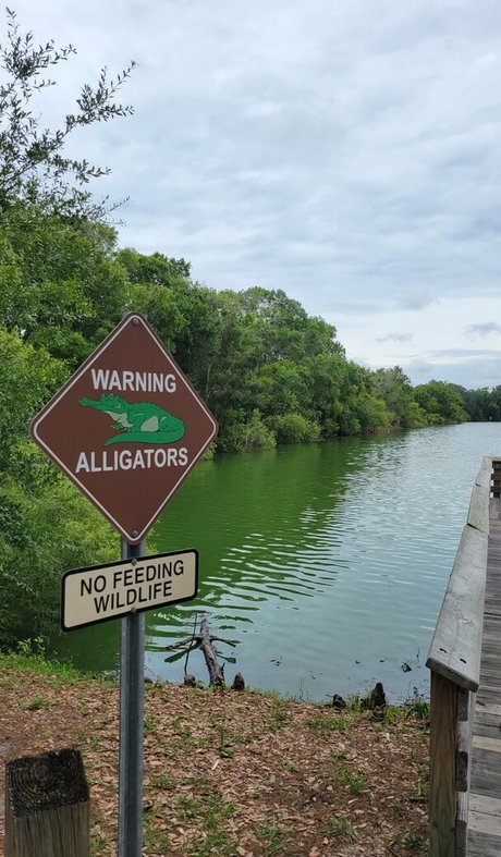 Ddiamondprincess OnlyFans