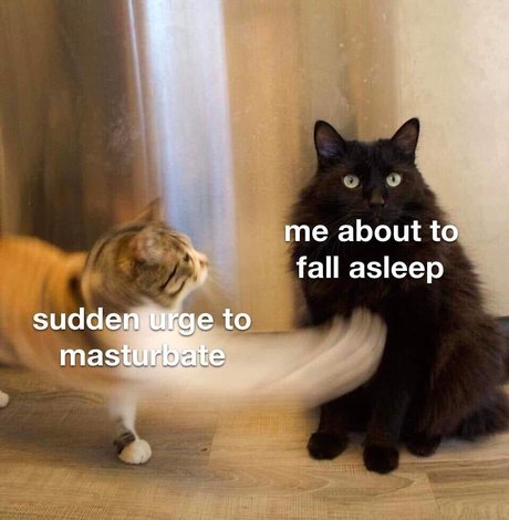 Kirsten Knight OnlyFans Leaked Gratis