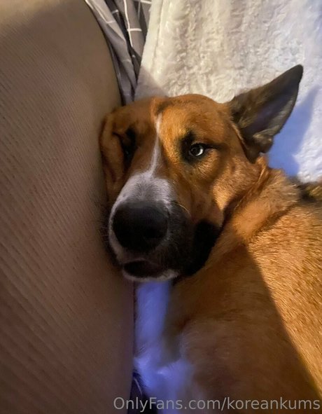 Koreankums Kostenlose OnlyFans-Inhalte