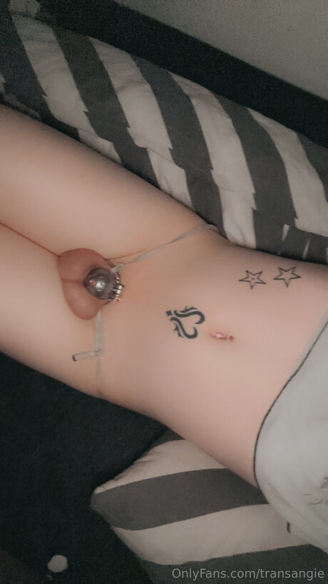 Transangie OnlyFans Nackt Content