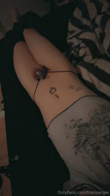 Transangie Leaked OnlyFans Sex