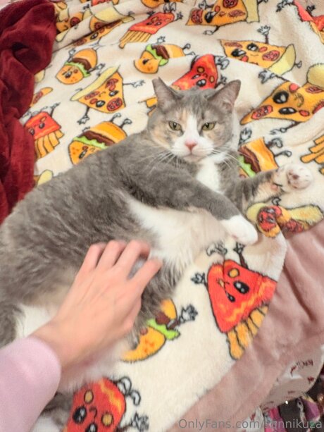 Sonnikuza OnlyFans Pornografie