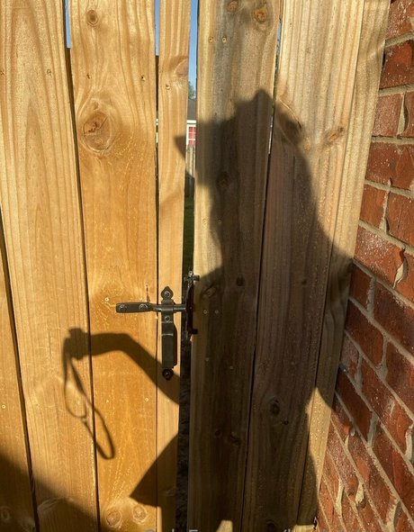 kaylakitsune Sexy OnlyFans