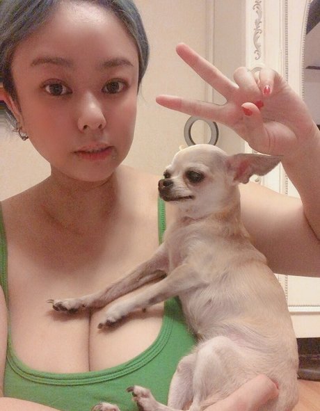 Pchan666 OnlyFans-Inhalte