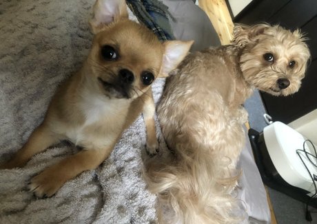 Pchan666 Nacktbilder von OnlyFans geleakt